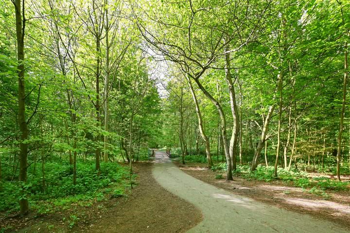 Photo 35 of Muurbloemweg 77