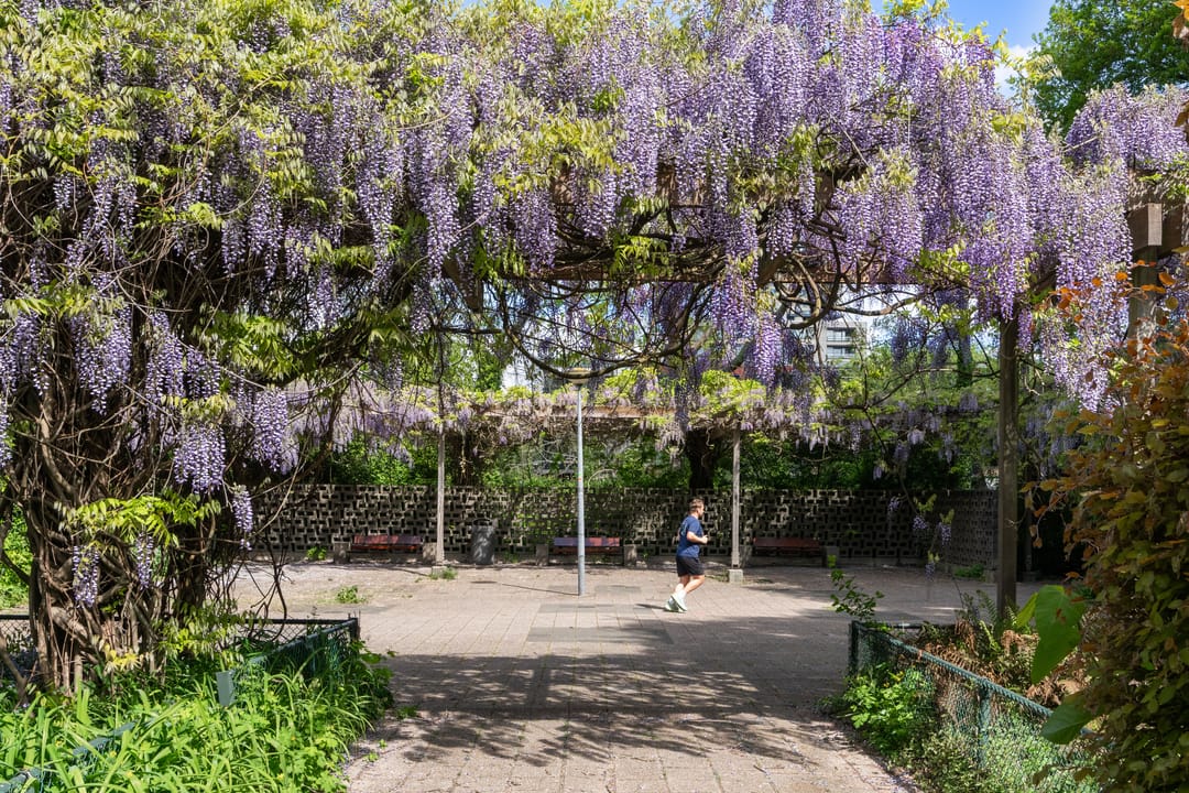 Foto 32 van Van Nijenrodeweg 327