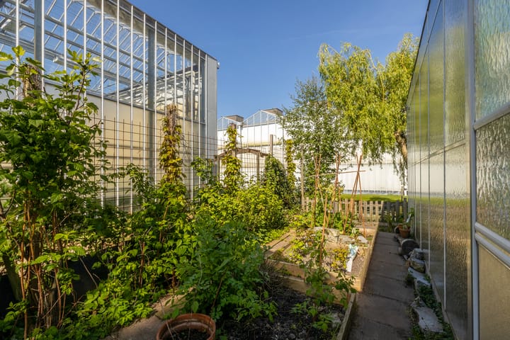 Foto 55 van Vredebestlaan 51