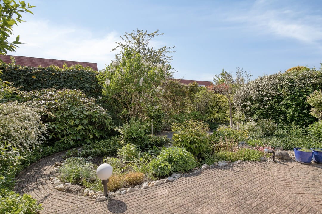 Photo 32 of Hovenier 39