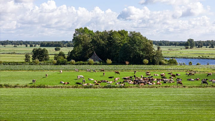 Foto 6 van Loevestein 6