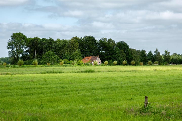 Foto 9 van Loevestein 6