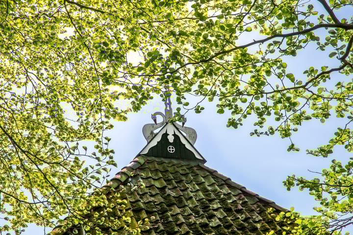 Foto 12 van Loevestein 6