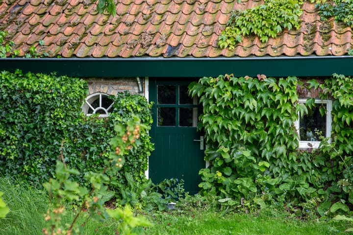 Foto 13 van Loevestein 6