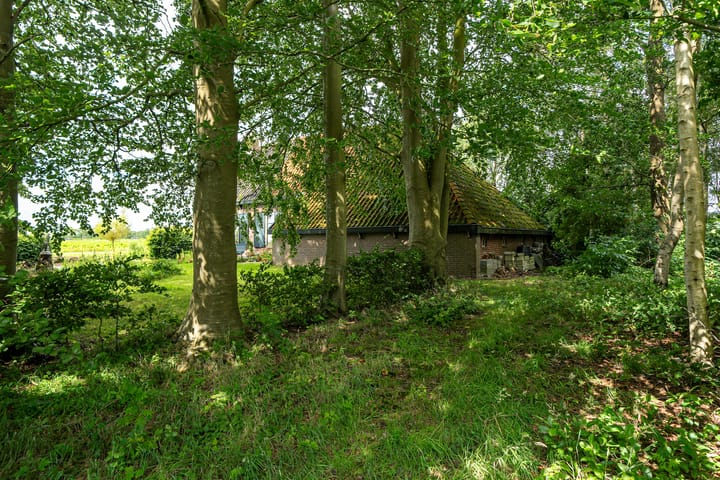 Foto 14 van Loevestein 6