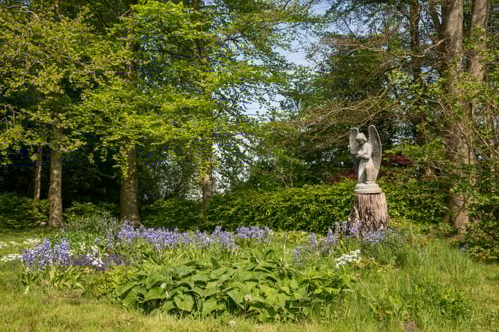 Foto 17 van Loevestein 6