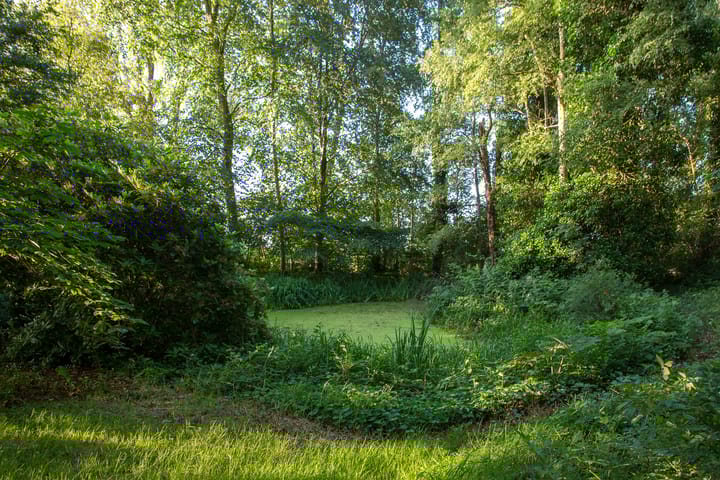 Foto 18 van Loevestein 6