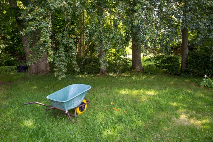 Foto 19 van Loevestein 6