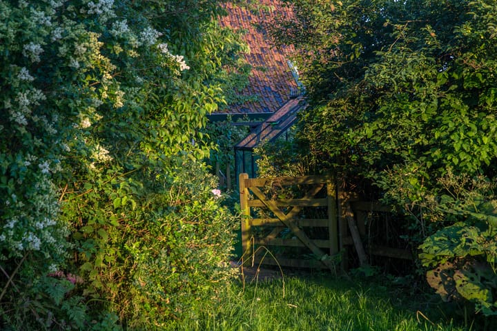 Foto 21 van Loevestein 6