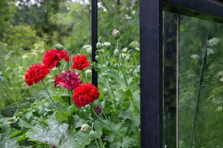 Foto 23 van Loevestein 6