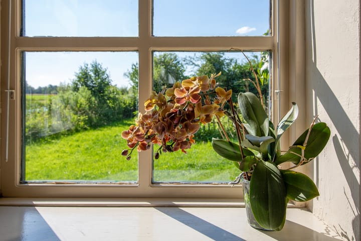 Foto 30 van Loevestein 6