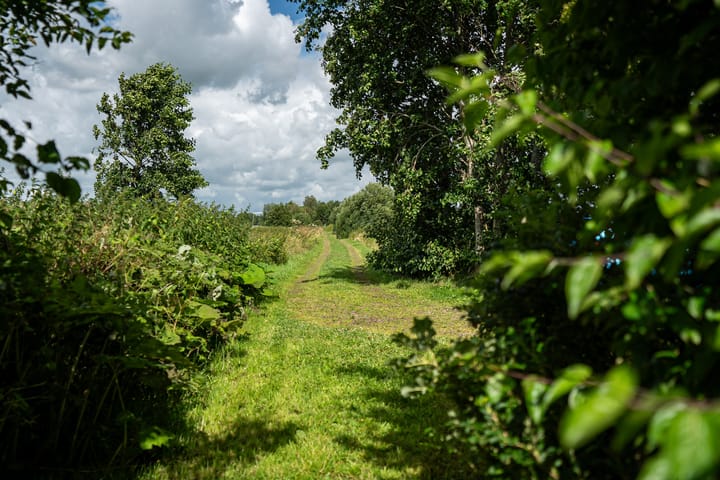 Foto 42 van Loevestein 6