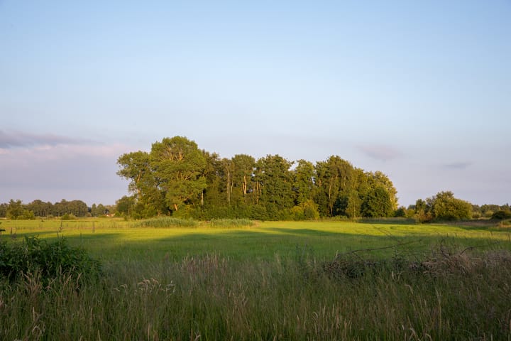 Foto 43 van Loevestein 6