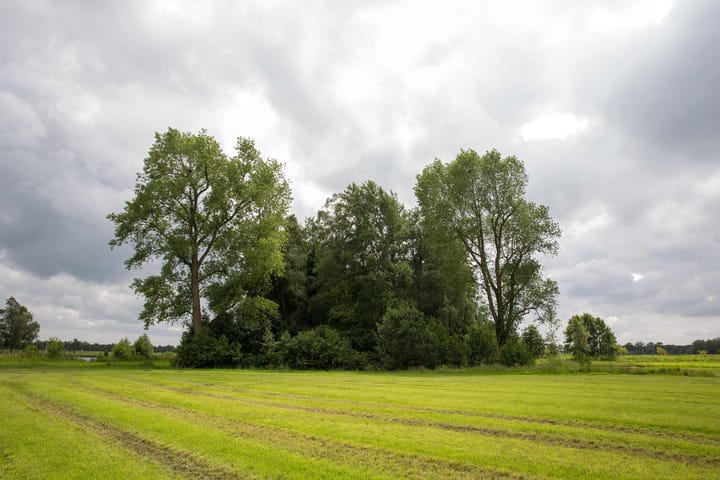 Foto 48 van Loevestein 6