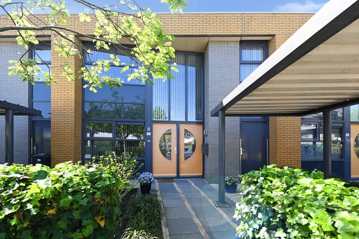 Foto 5 van Klimvaren 13