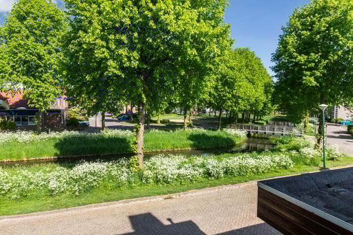 Foto 20 van Vogelwikkeveld 20