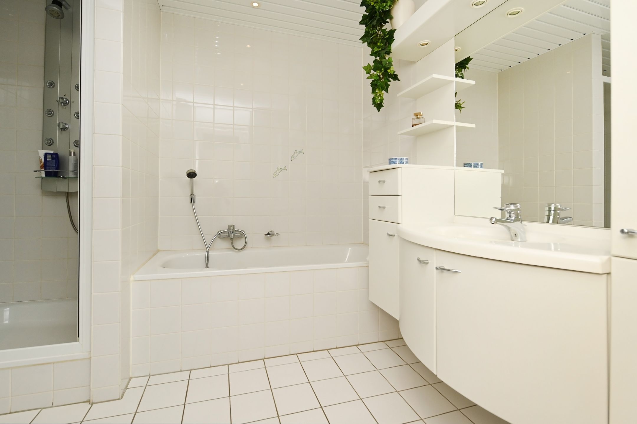 Photo 39 of Klimvaren 13