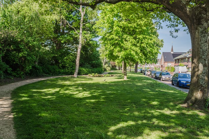 Foto 46 van Nassaustraat 14