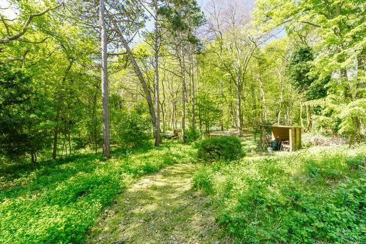 Foto 27 van Herenlaan 6