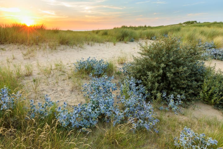 Foto 50 van Herenlaan 6