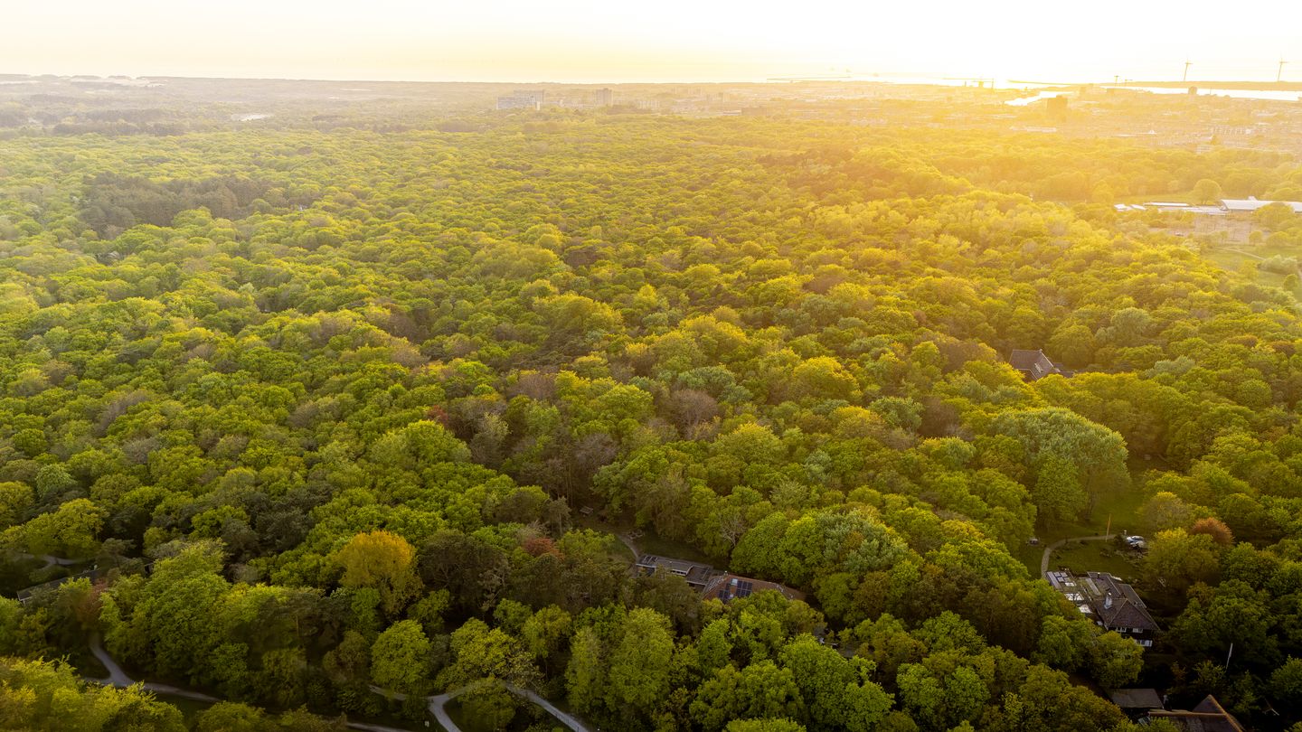 Foto 49 van Herenlaan 6