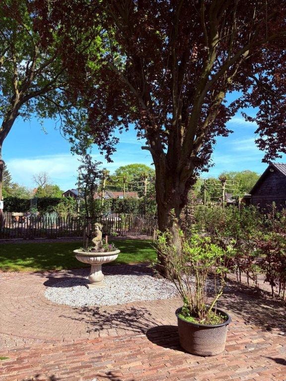 Foto 5 van De Wertstraat 20