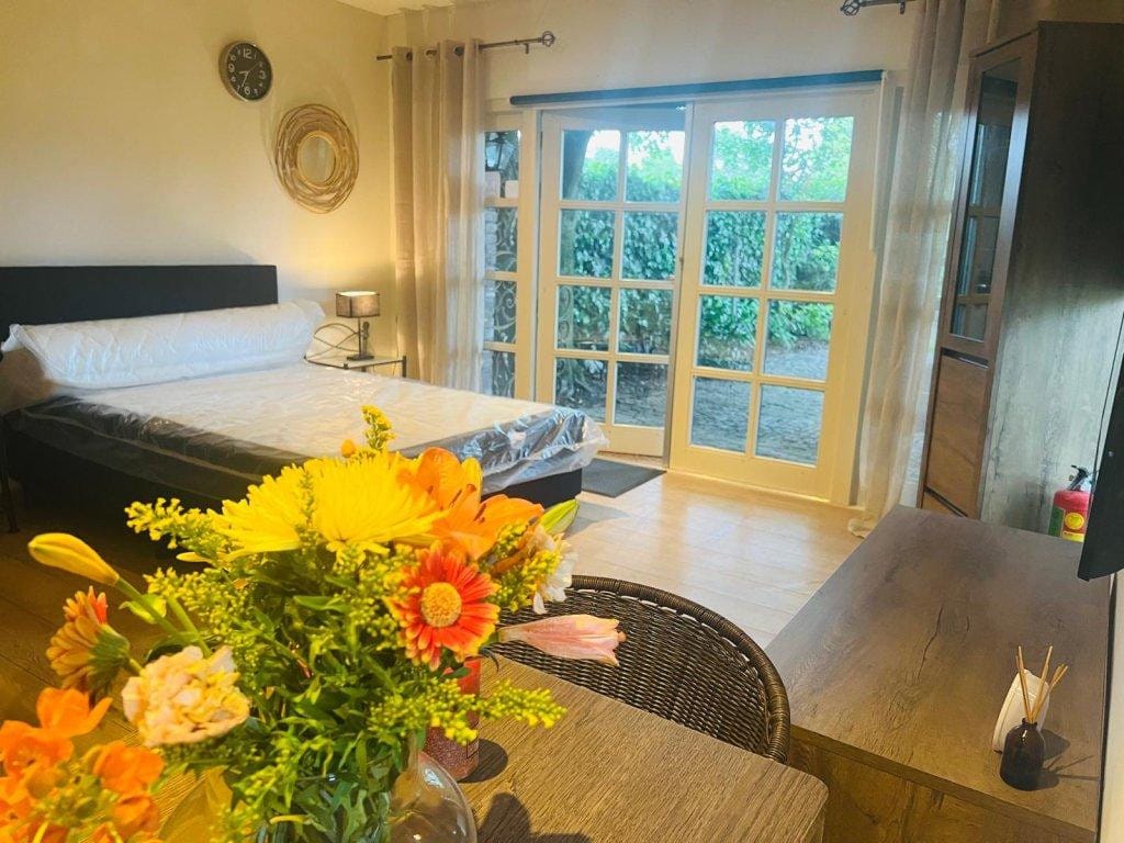 Foto 9 van De Wertstraat 20