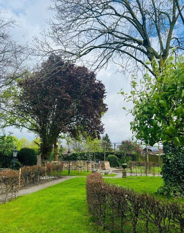 Foto 2 van De Wertstraat 20