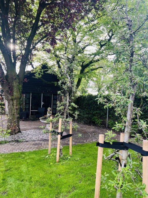 Foto 21 van De Wertstraat 20