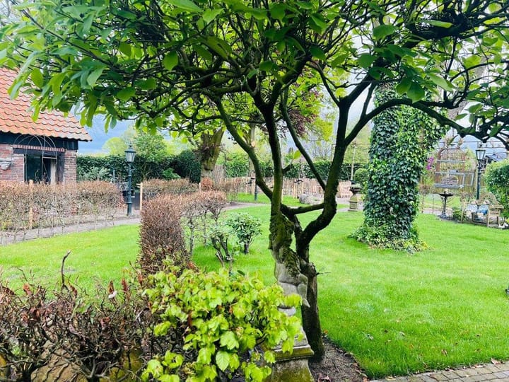 Foto 3 van De Wertstraat 20