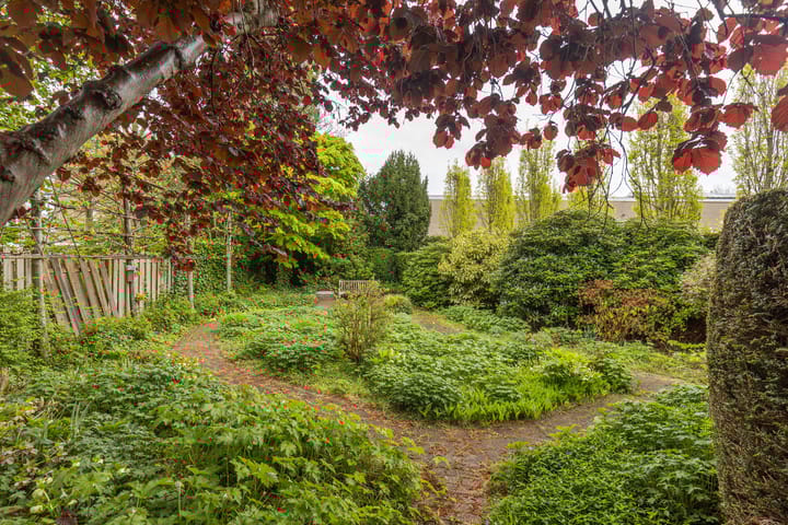 Foto 21 van Baenjenstraat 10