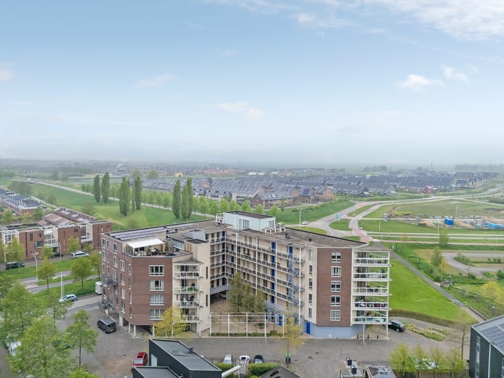 Foto 2 van Lisdodde 25