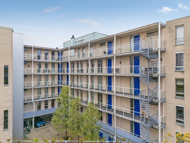 Foto 3 van Lisdodde 25