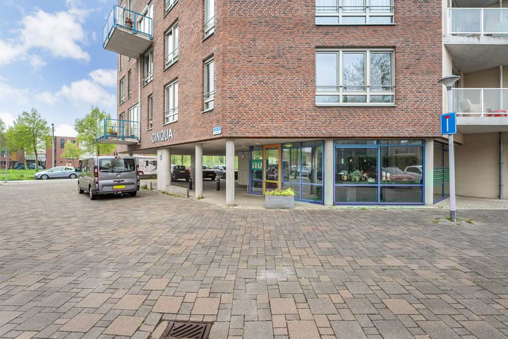 Foto 8 van Lisdodde 25