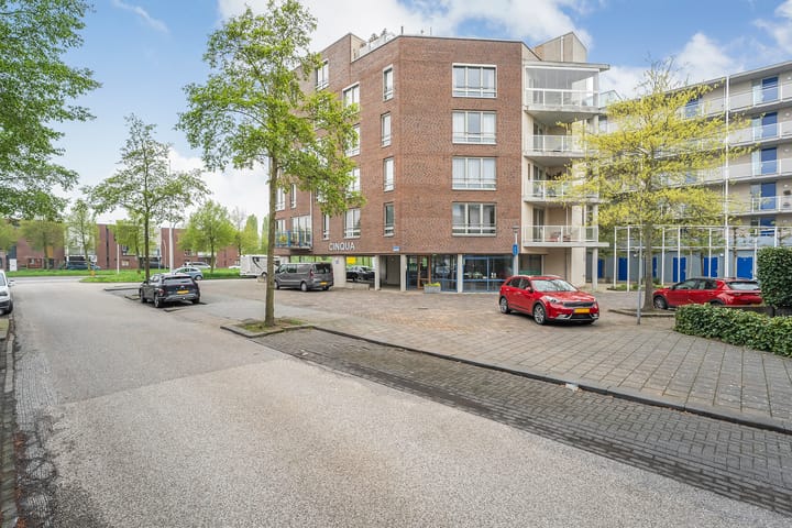 Foto 10 van Lisdodde 25