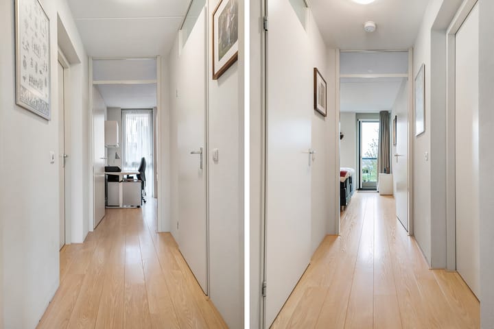 Foto 16 van Lisdodde 25