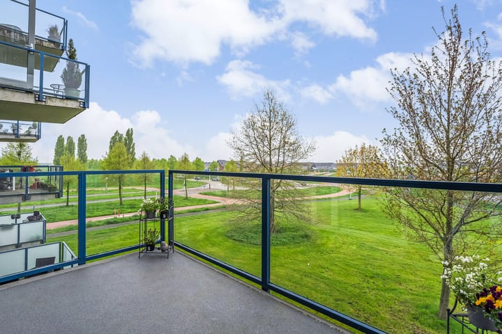 Foto 26 van Lisdodde 25