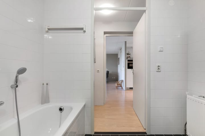 Foto 32 van Lisdodde 25