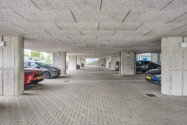 Foto 33 van Lisdodde 25