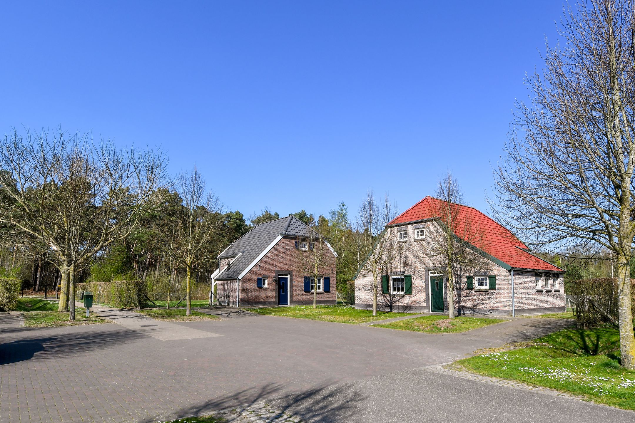 3-bedroom freehold villa in Roggel — photo 4 of 5