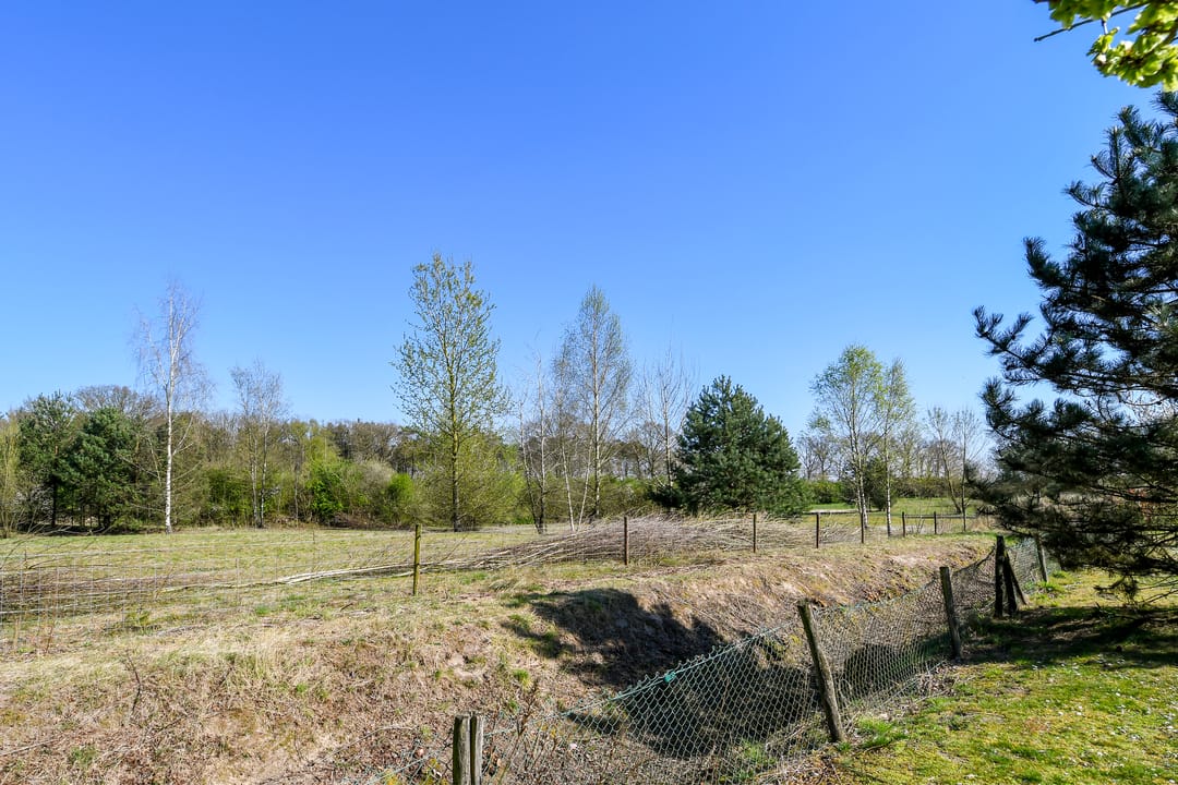 Foto 28 van Buitenhof de Leistert 162