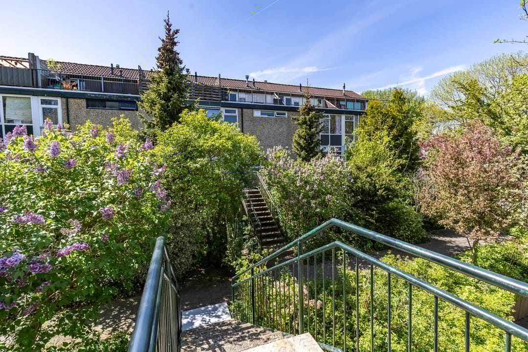 Photo 41 of Lichtboei 176