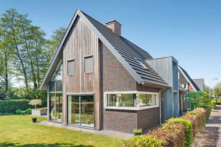 Foto 1 van Leghorn 1