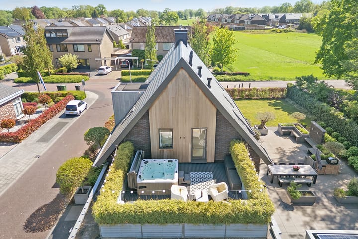 Foto 2 van Leghorn 1