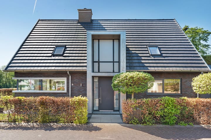 Foto 3 van Leghorn 1