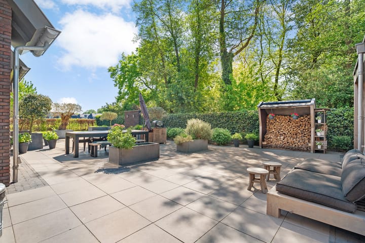 Foto 4 van Leghorn 1