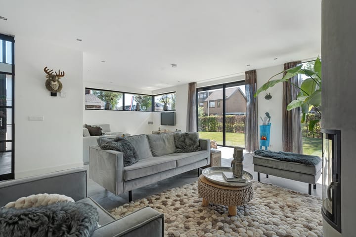 Foto 6 van Leghorn 1