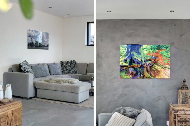 Foto 9 van Leghorn 1