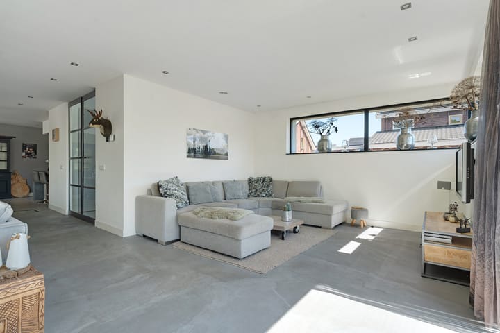 Foto 11 van Leghorn 1