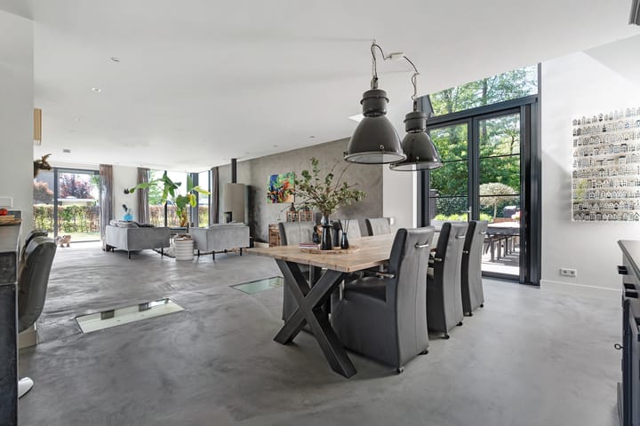 Foto 17 van Leghorn 1